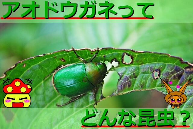 Thumbnail of post image 172